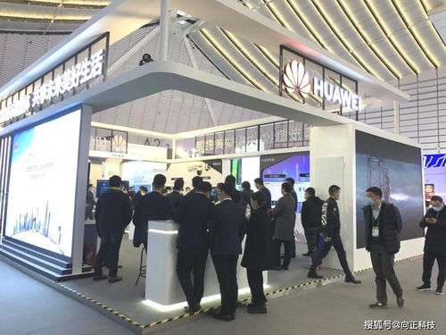 2020世界互联网大会“互联网之光”博览会 云端绽放的数字盛会